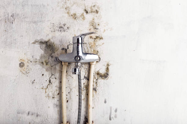 Best Kitchen Mold Remediation in Oakfield, WI
