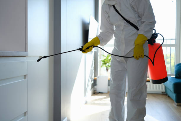 Professional Mold Remediation in Oakfield, WI