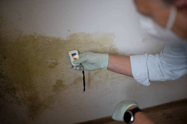 Best Residential Mold Remediation in Oakfield, WI