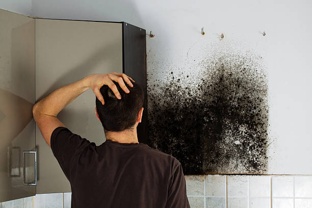 Best Bathroom Mold Remediation in Oakfield, WI